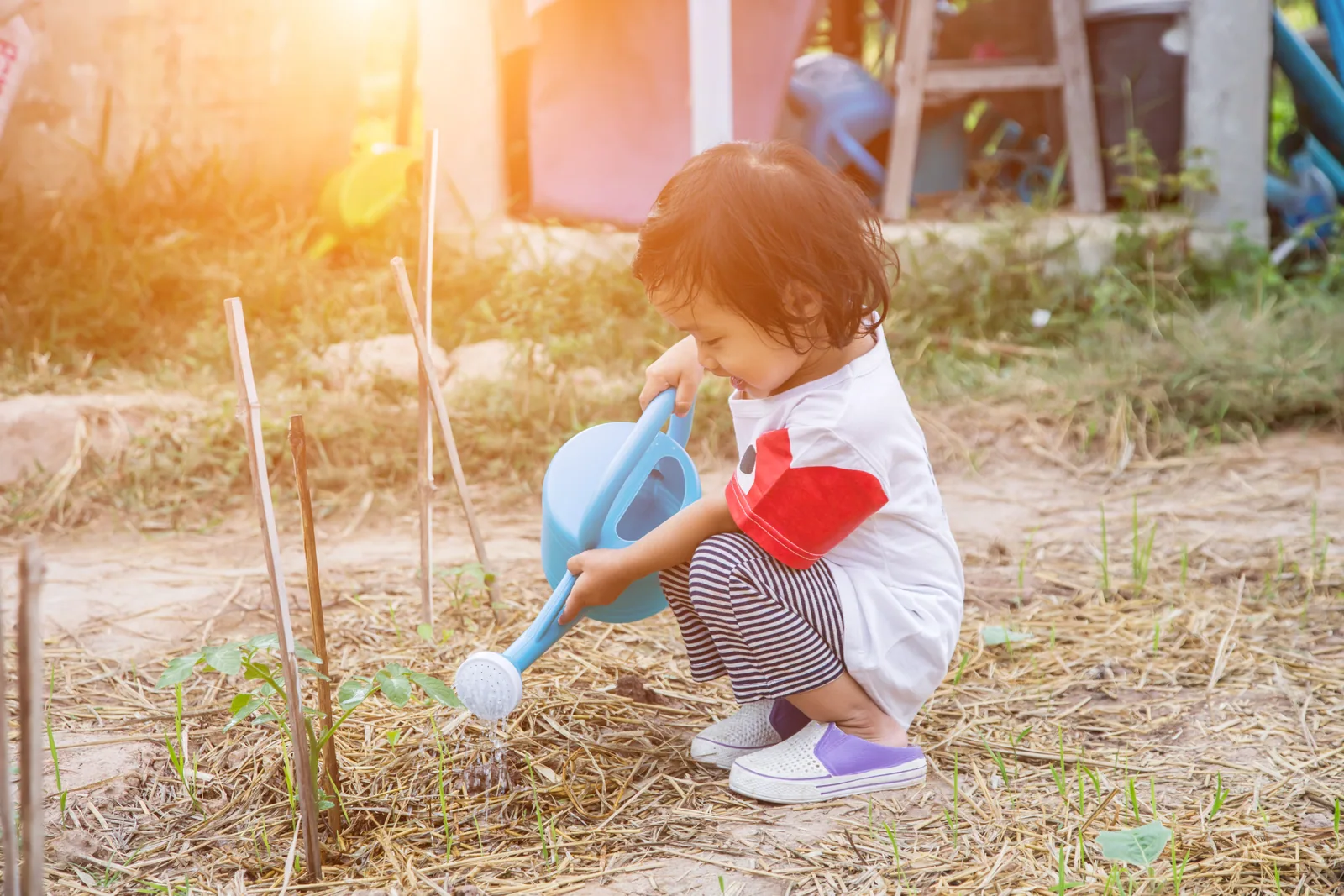 A young child crouching in a garden bed with a watering can